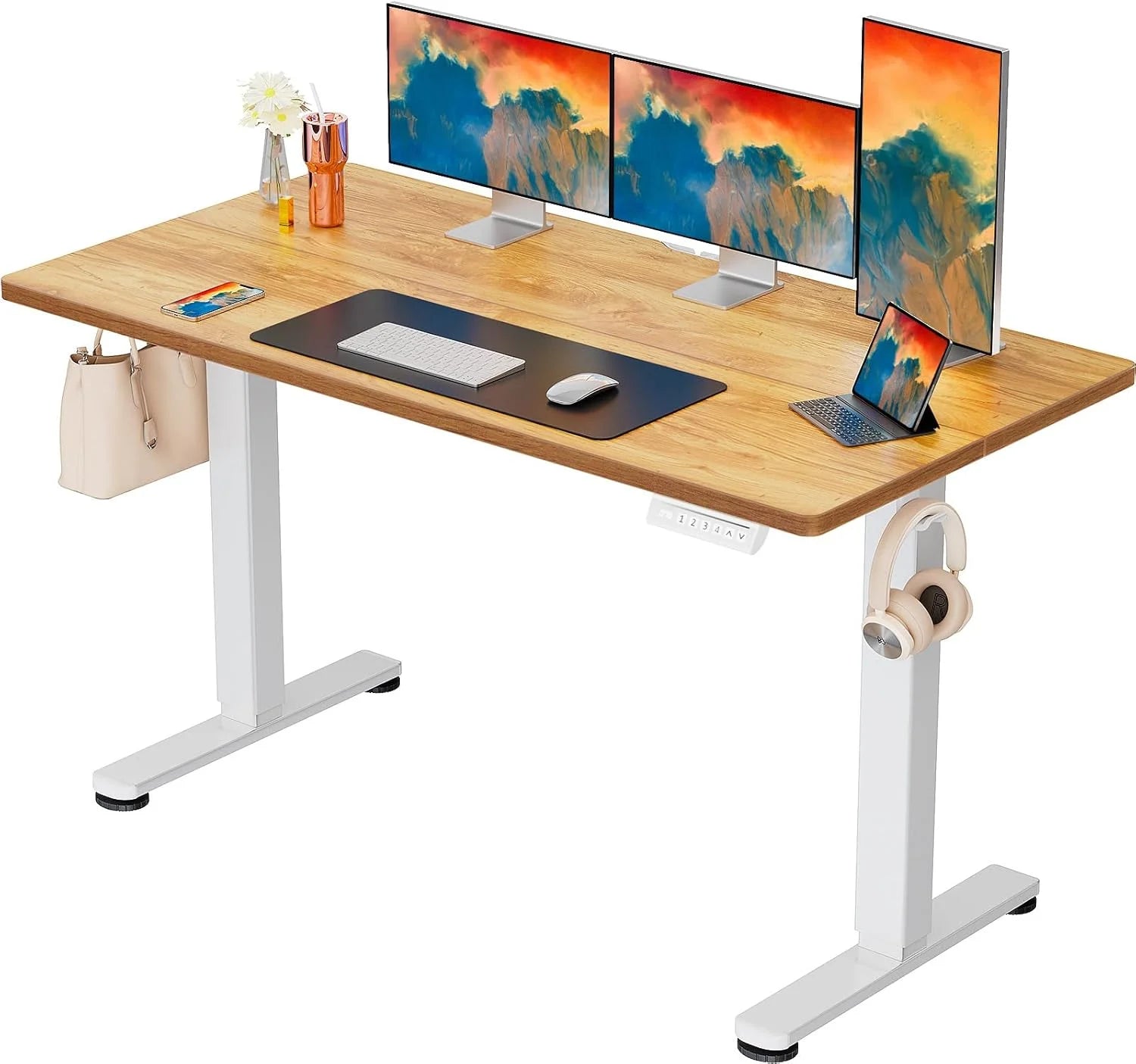 Special Height Adjustable Electric Standing Desk, 48 x 24 Inches Sit Stand up Desk - Image 10