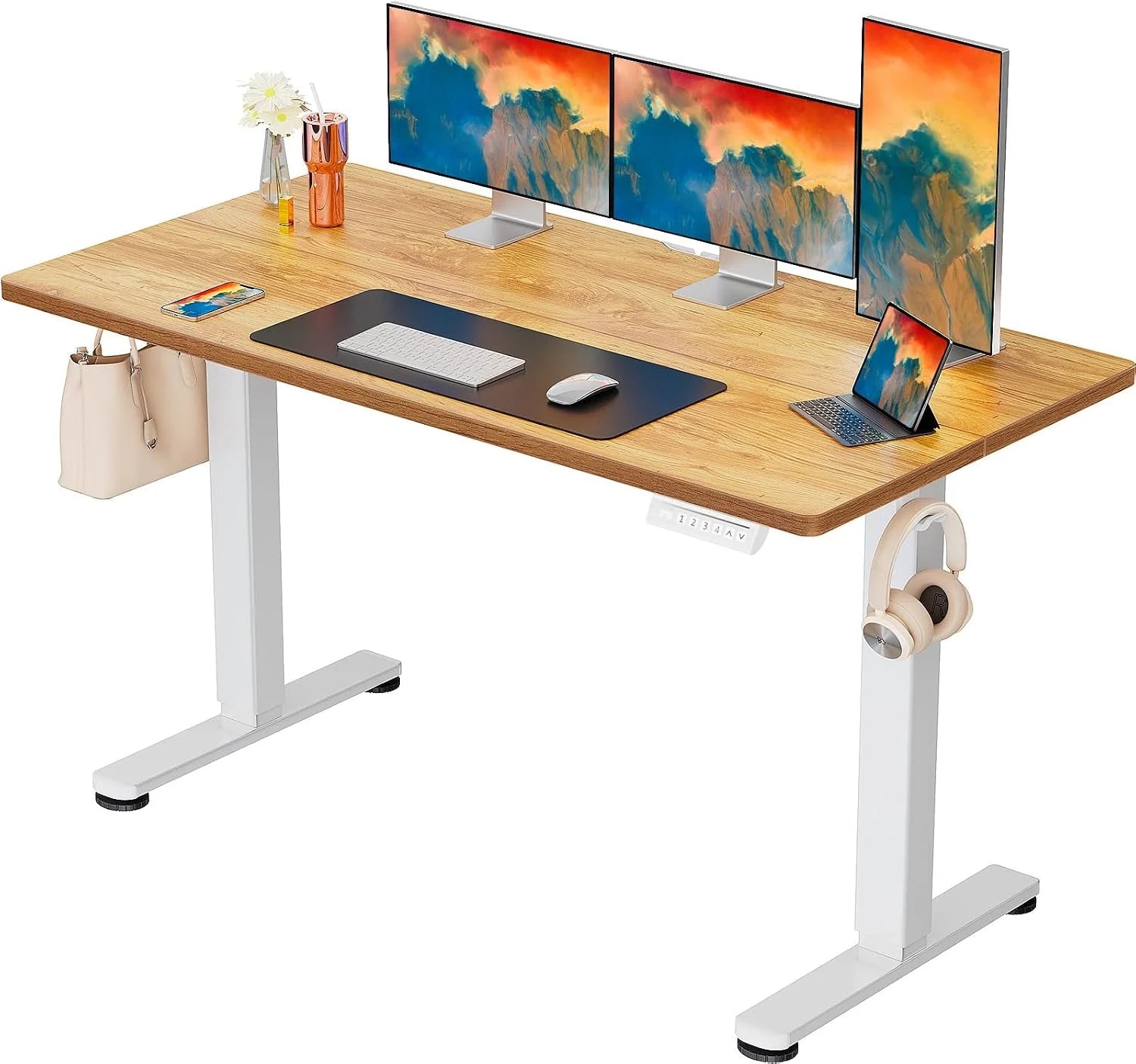 Special Height Adjustable Electric Standing Desk, 48 x 24 Inches Sit Stand up Desk - Image 23