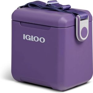 Special Tag Along Too Coolers