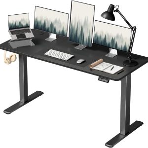 Special 55 x 24 Inches Electric Height Adjustable Standing Desk Large Sit Stand Up Desk Home Office Computer Desk Memory