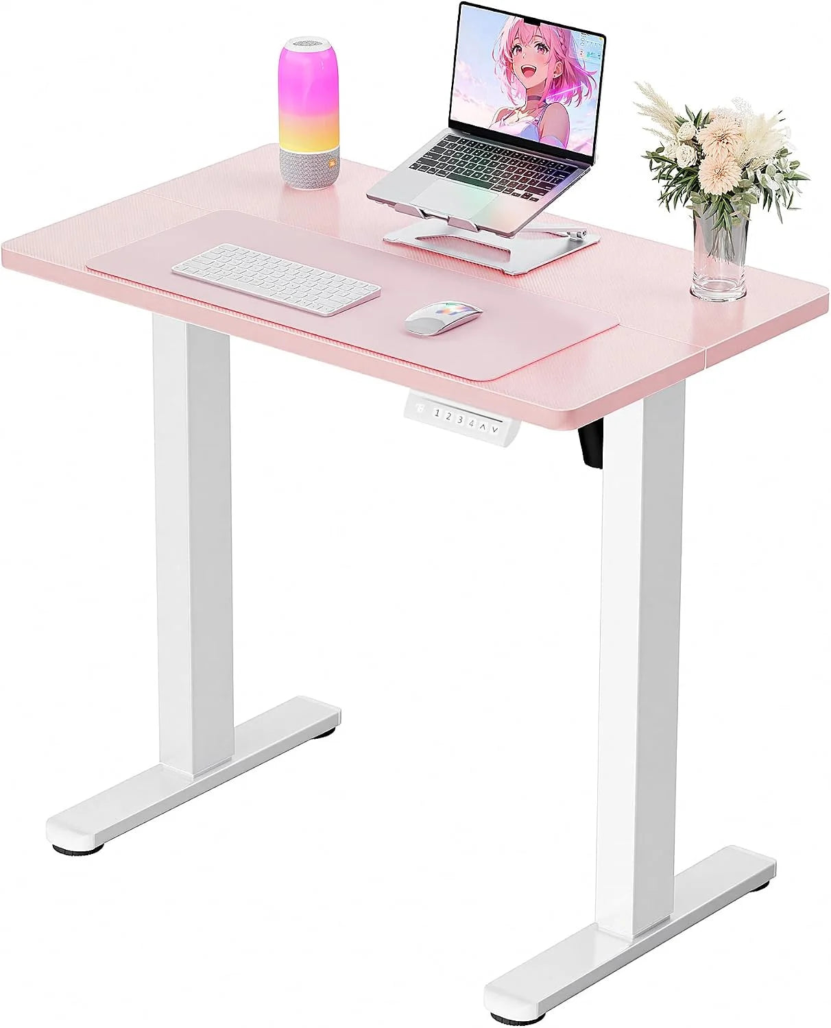 Special Height Adjustable Electric Standing Desk, 48 x 24 Inches Sit Stand up Desk
